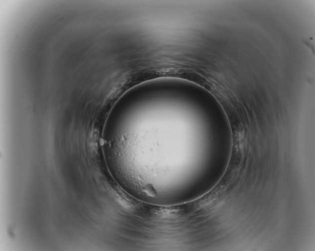 X0000095920664200801181418