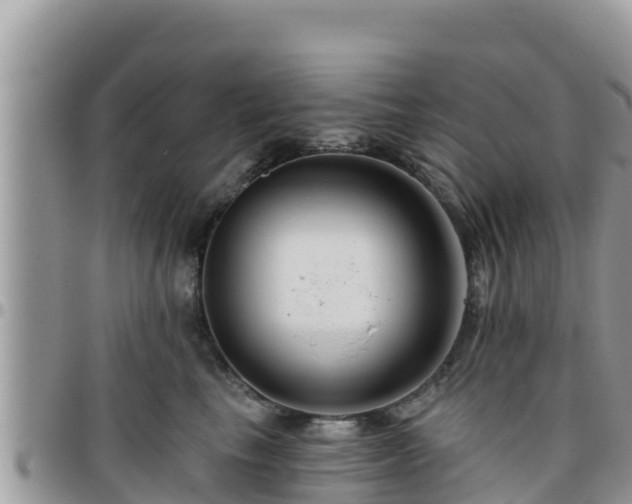 X0000095920665200801181418