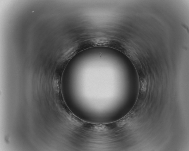 X0000095920666200801181418