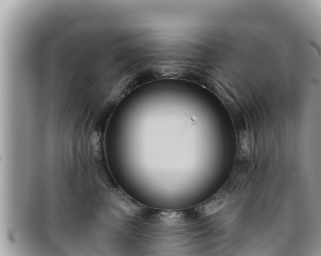 X0000095920667200801181418