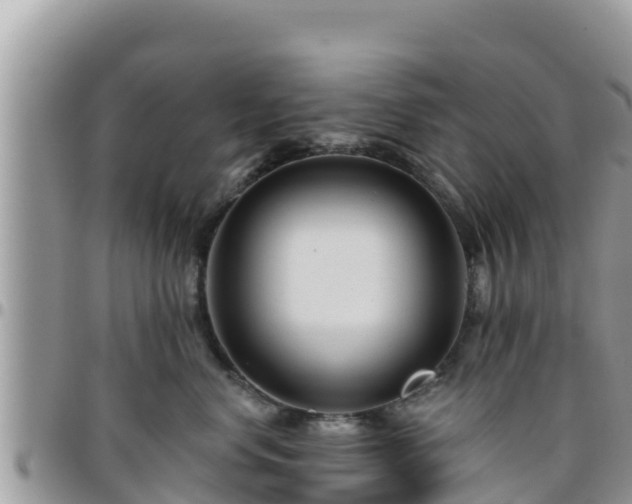 X0000095920668200801181418