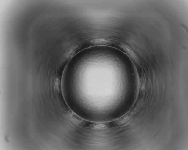 X0000095920669200801181418