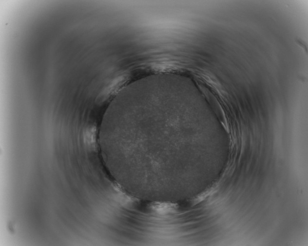 X0000095920670200801181418