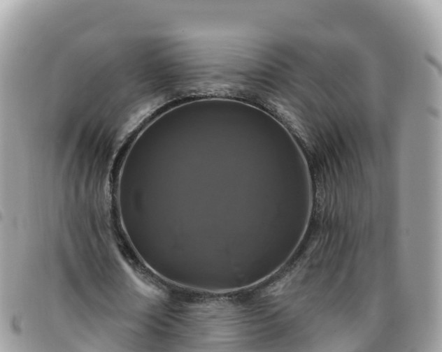 X0000095920674200801181418