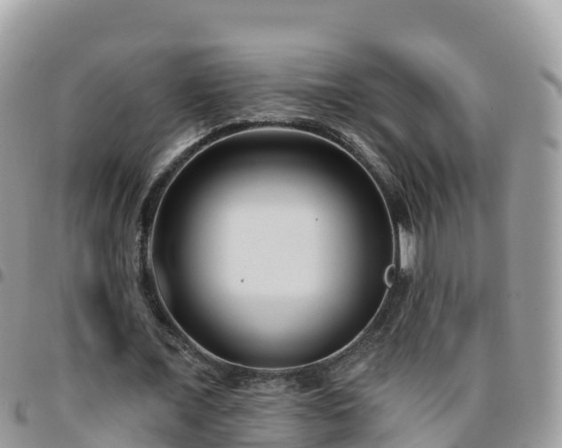 X0000095920675200801181418