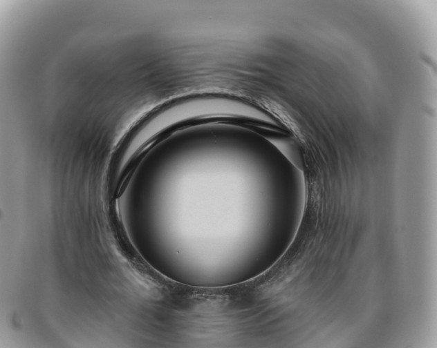 X0000095920676200801181418