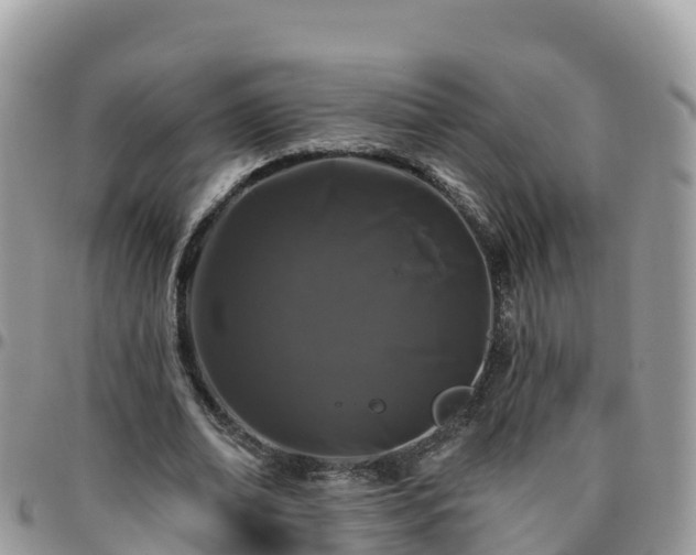 X0000095920678200801181418