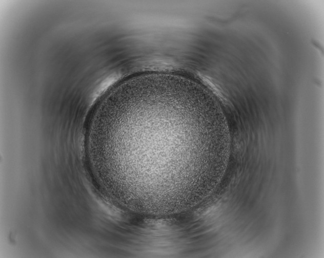 X0000095920679200801181418