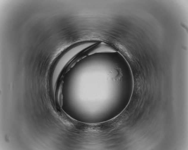 X0000095920680200801181418