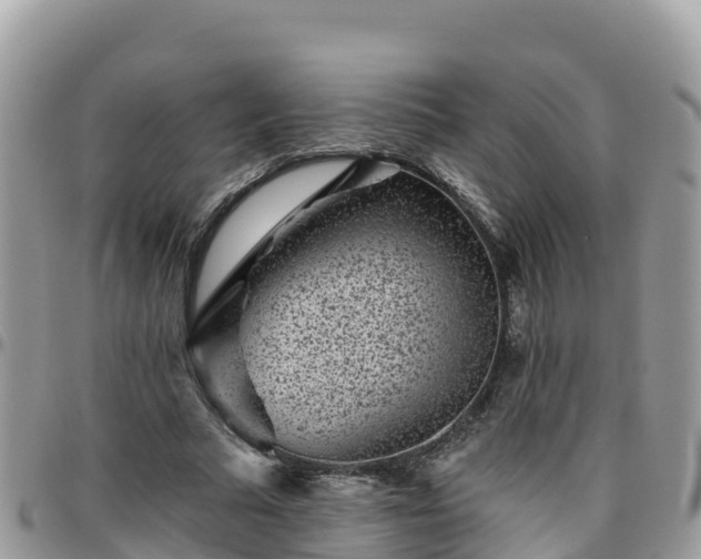 X0000095920681200801181418