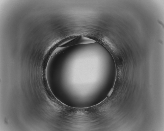 X0000095920684200801181418