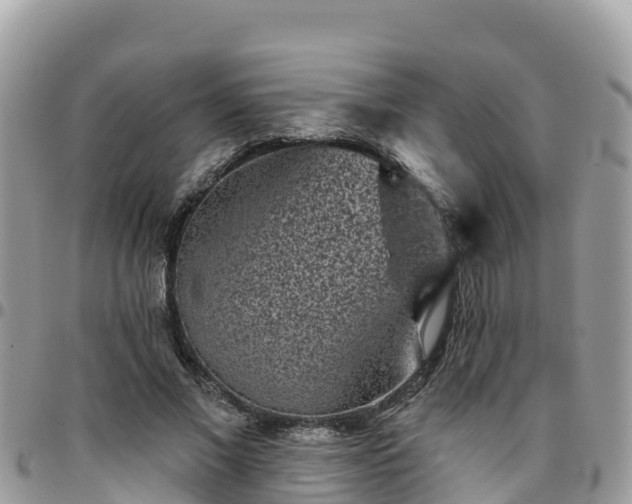 X0000095920685200801181418