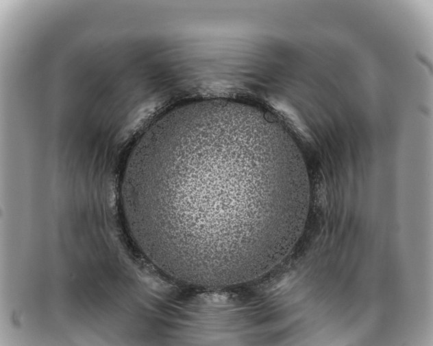 X0000095920687200801181418