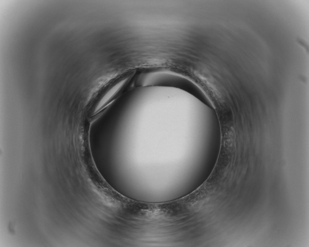 X0000095920688200801181418