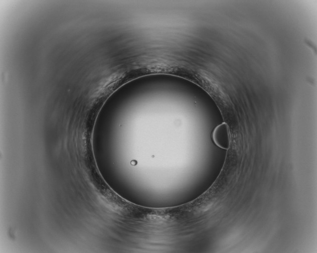 X0000095920690200801181418