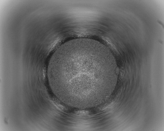 X0000095920691200801181418