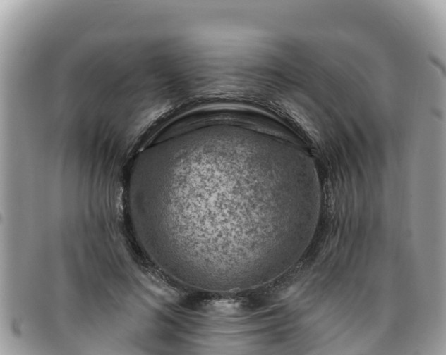 X0000095920692200801181418