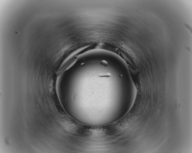 X0000095920693200801181418