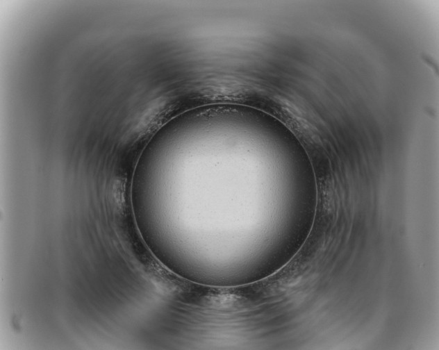 X0000095920695200801181417