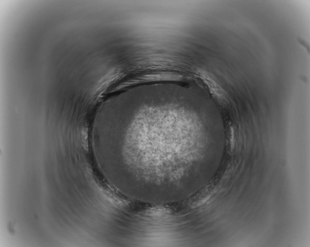 X0000095920696200801181417