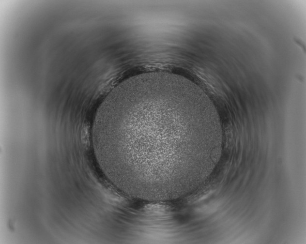 X0000095920699200801181417