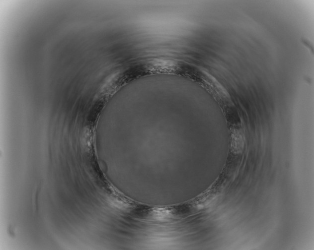 X0000095920701200801181417