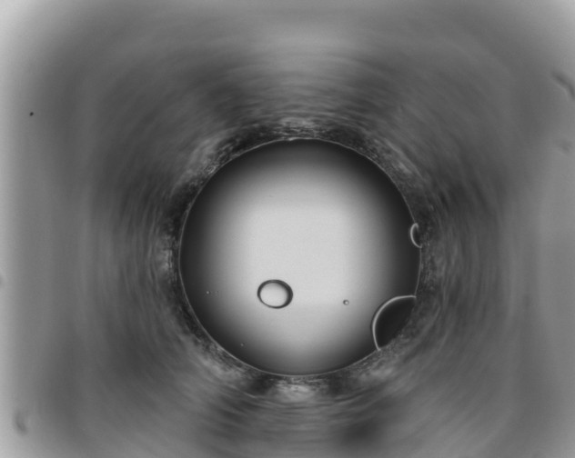 X0000095920706200801181417