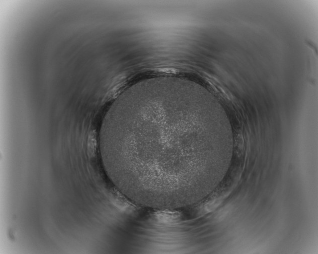 X0000095920707200801181417