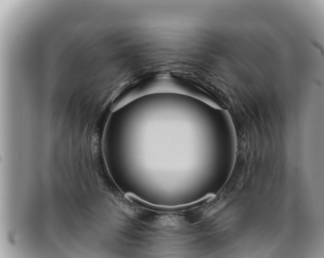 X0000095920708200801181417