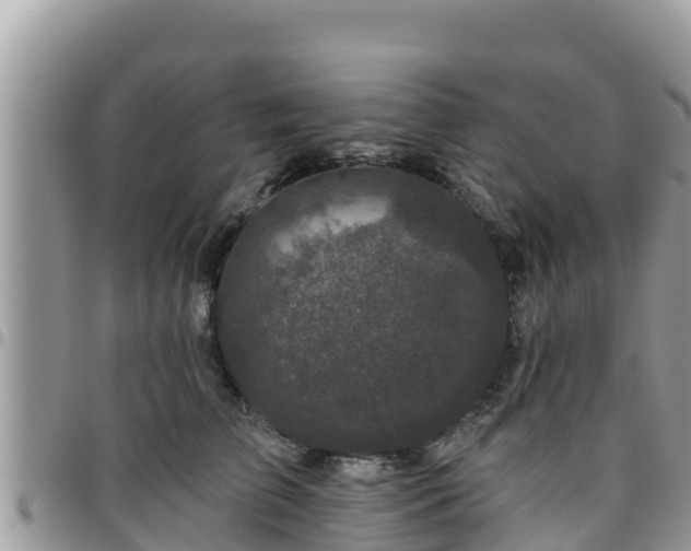 X0000095920709200801181417