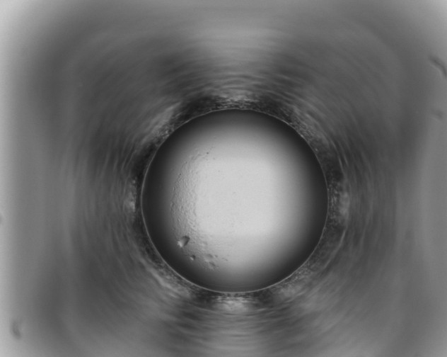 X0000095920710200801181417