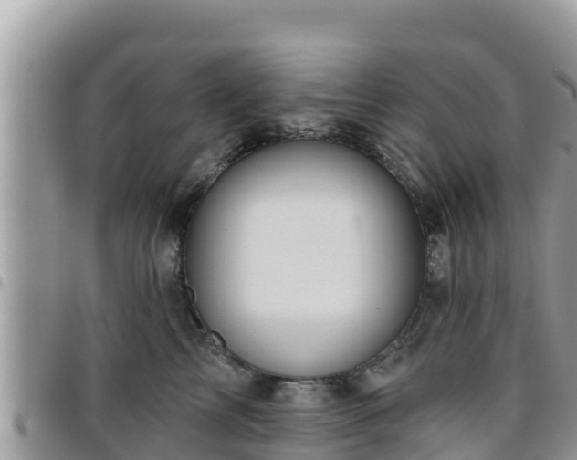 X0000095920713200801181417