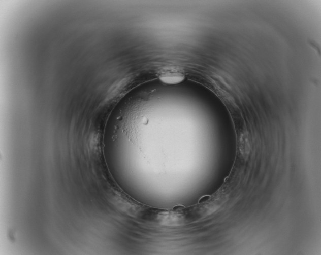 X0000095920714200801181417