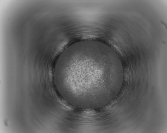 X0000095920716200801181417