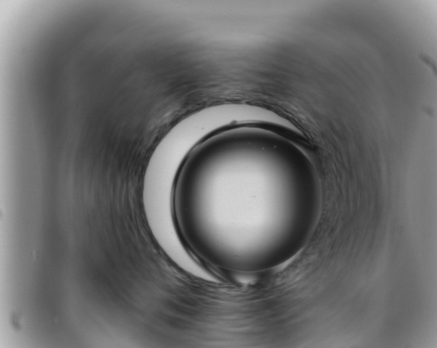 X0000095920720200801181417