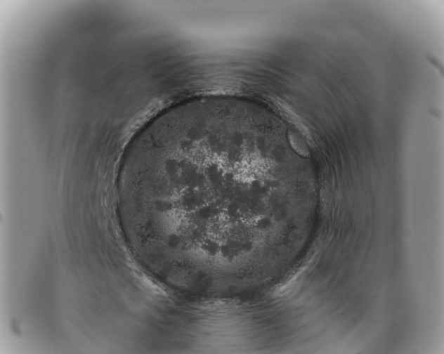 X0000095920721200801181416