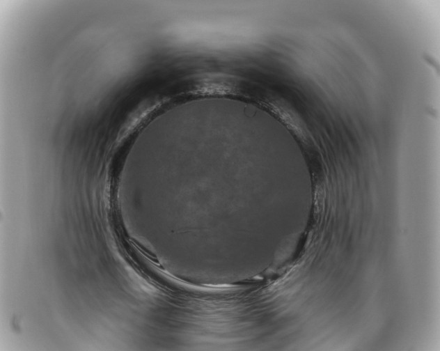 X0000095920722200801181417