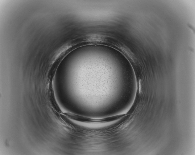 X0000095920723200801181417