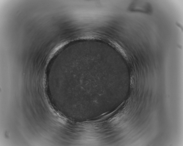 X0000095920724200801181417