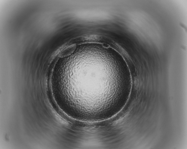 X0000095920725200801181417