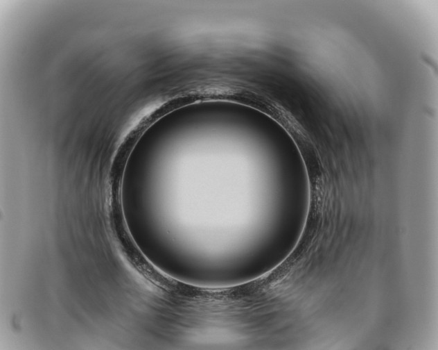 X0000095920726200801181417