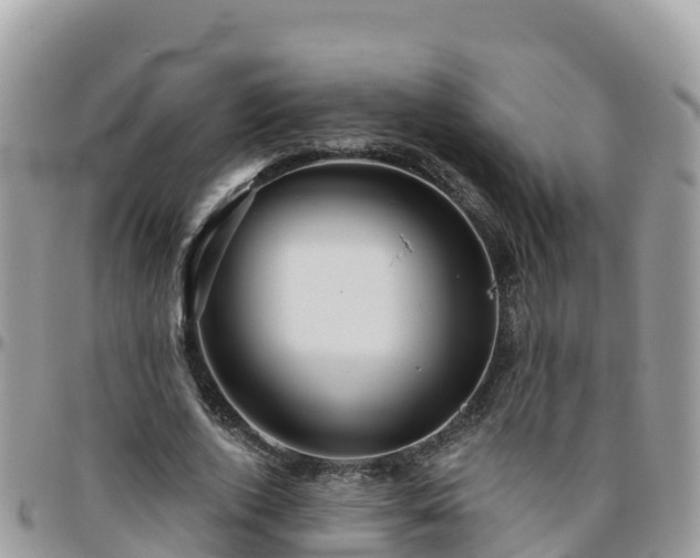 X0000095920728200801181417