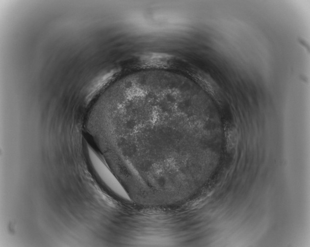 X0000095920729200801181417