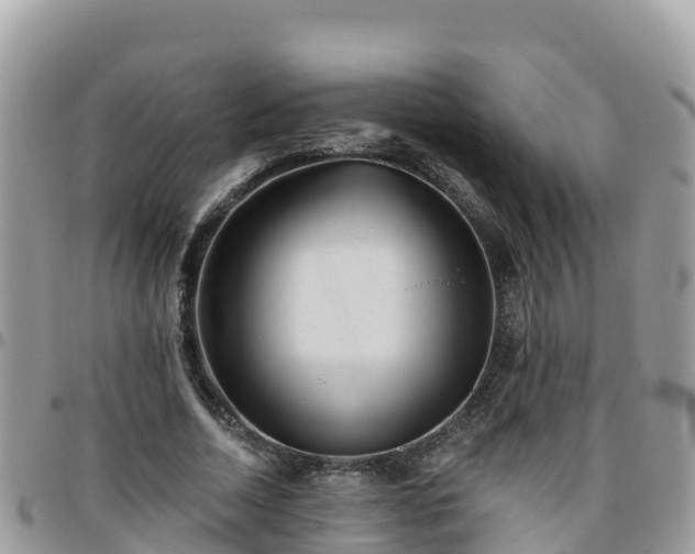 X0000095920730200801181417