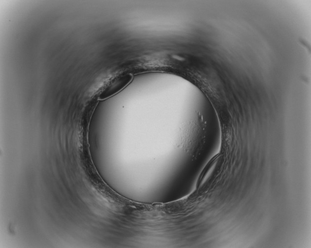 X0000095920732200801181417