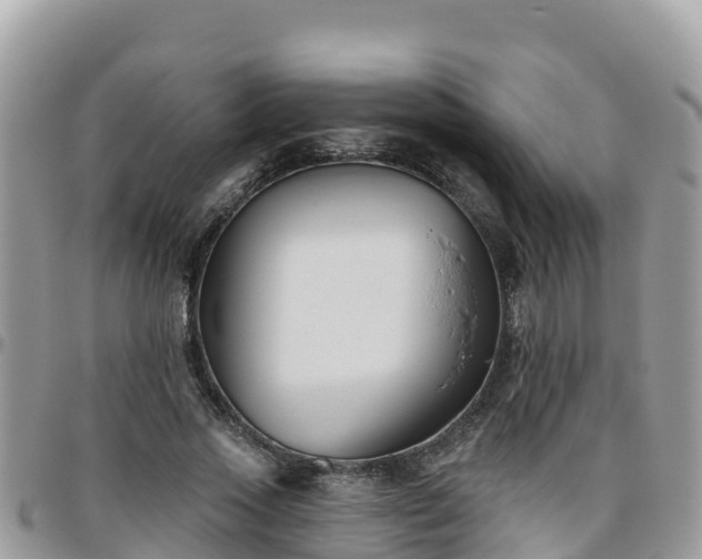 X0000095920733200801181417