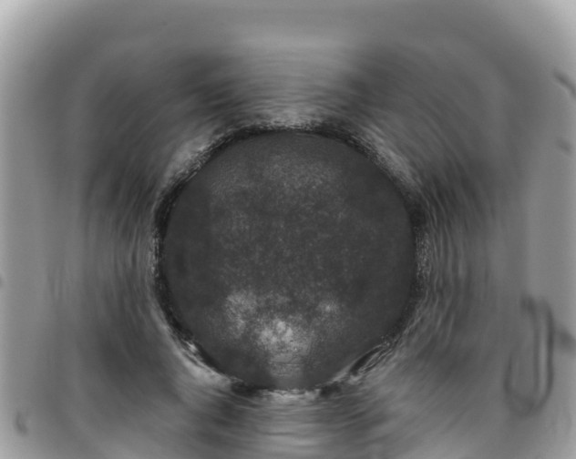 X0000095920736200801181417