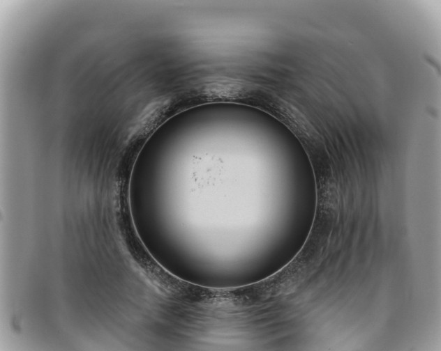 X0000095920738200801181417