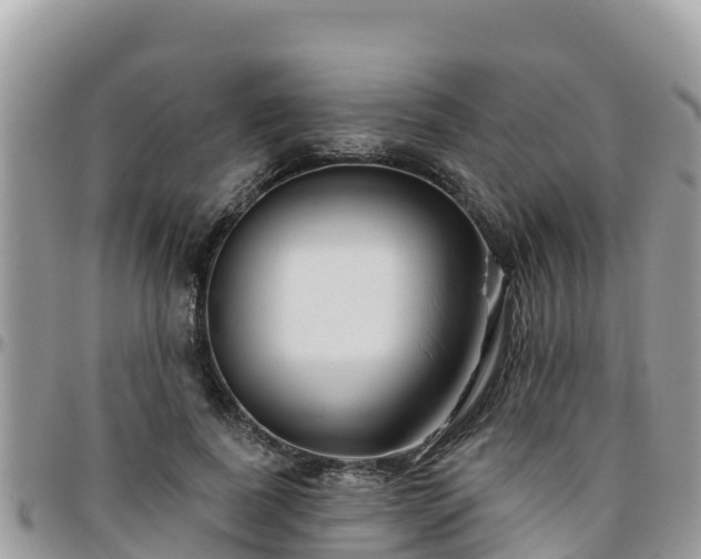 X0000095920739200801181417