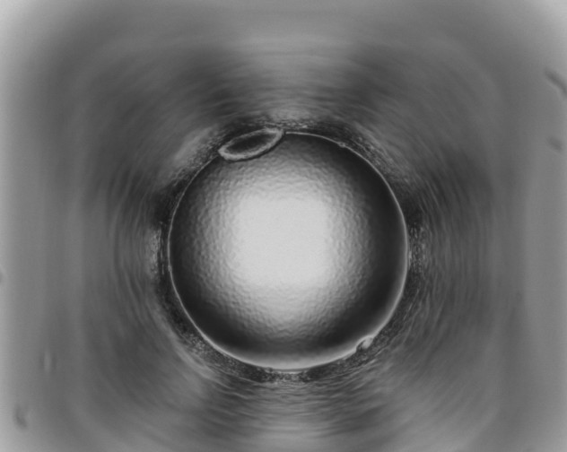 X0000095920742200801181417